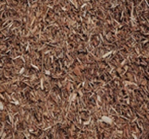 This image has an empty alt attribute; its file name is Eucy-mulch.jpg