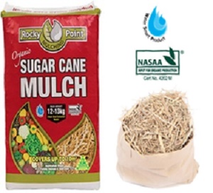 This image has an empty alt attribute; its file name is Rocky-Point-1.jpg