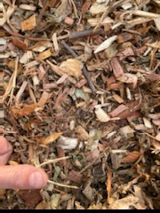 This image has an empty alt attribute; its file name is Leaf-Mulch.jpg