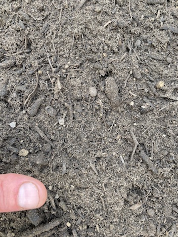 This image has an empty alt attribute; its file name is Premium-Garden-Mix-1.jpg